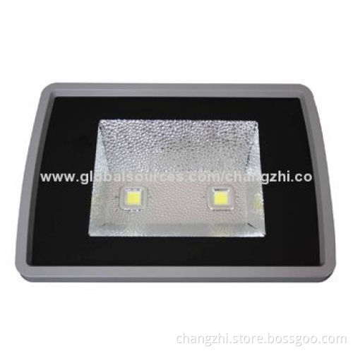 LED Floodlight with 12V AC/24V DC or 85 to 260V AC Voltage